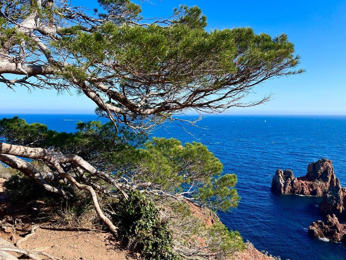 Les Cactus Frejus Plage Εξωτερικό φωτογραφία