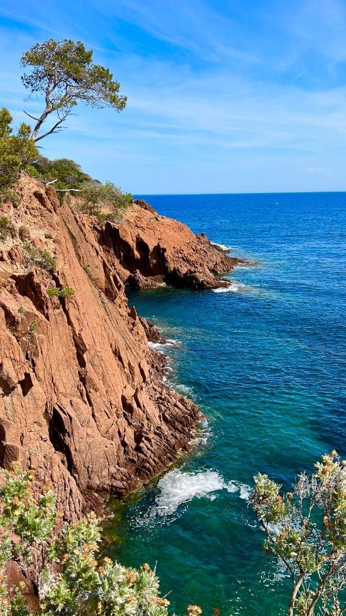 Les Cactus Frejus Plage Εξωτερικό φωτογραφία