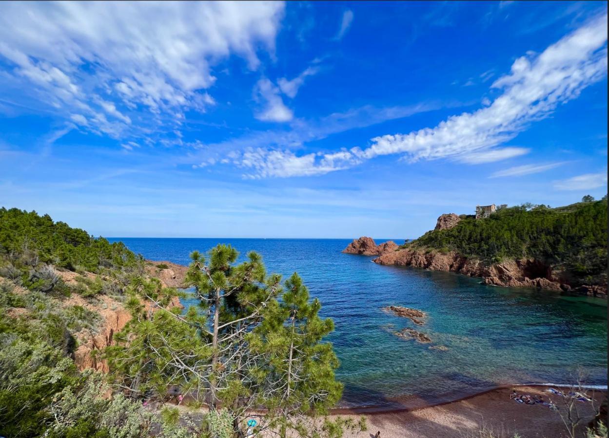 Les Cactus Frejus Plage Εξωτερικό φωτογραφία
