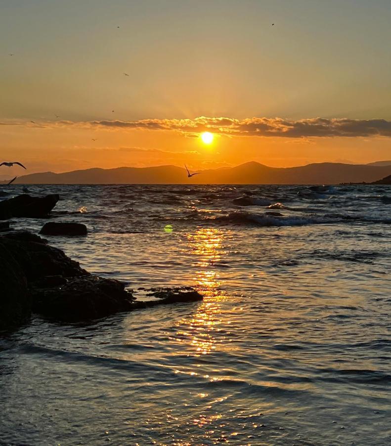 Les Cactus Frejus Plage Εξωτερικό φωτογραφία