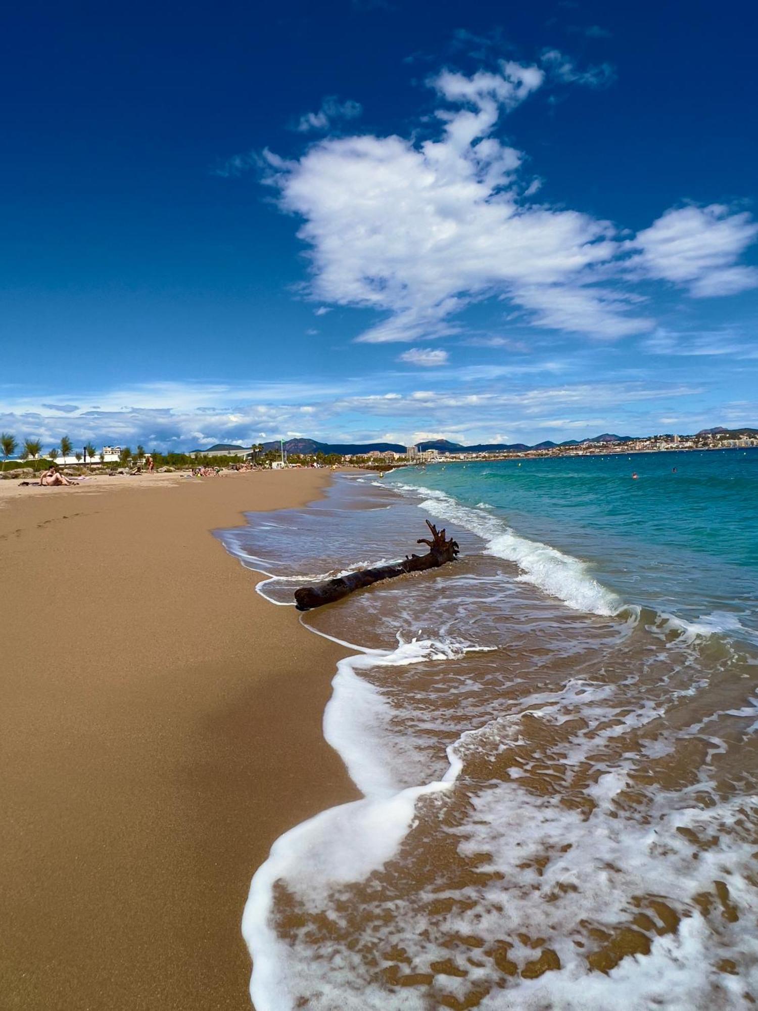 Les Cactus Frejus Plage Εξωτερικό φωτογραφία