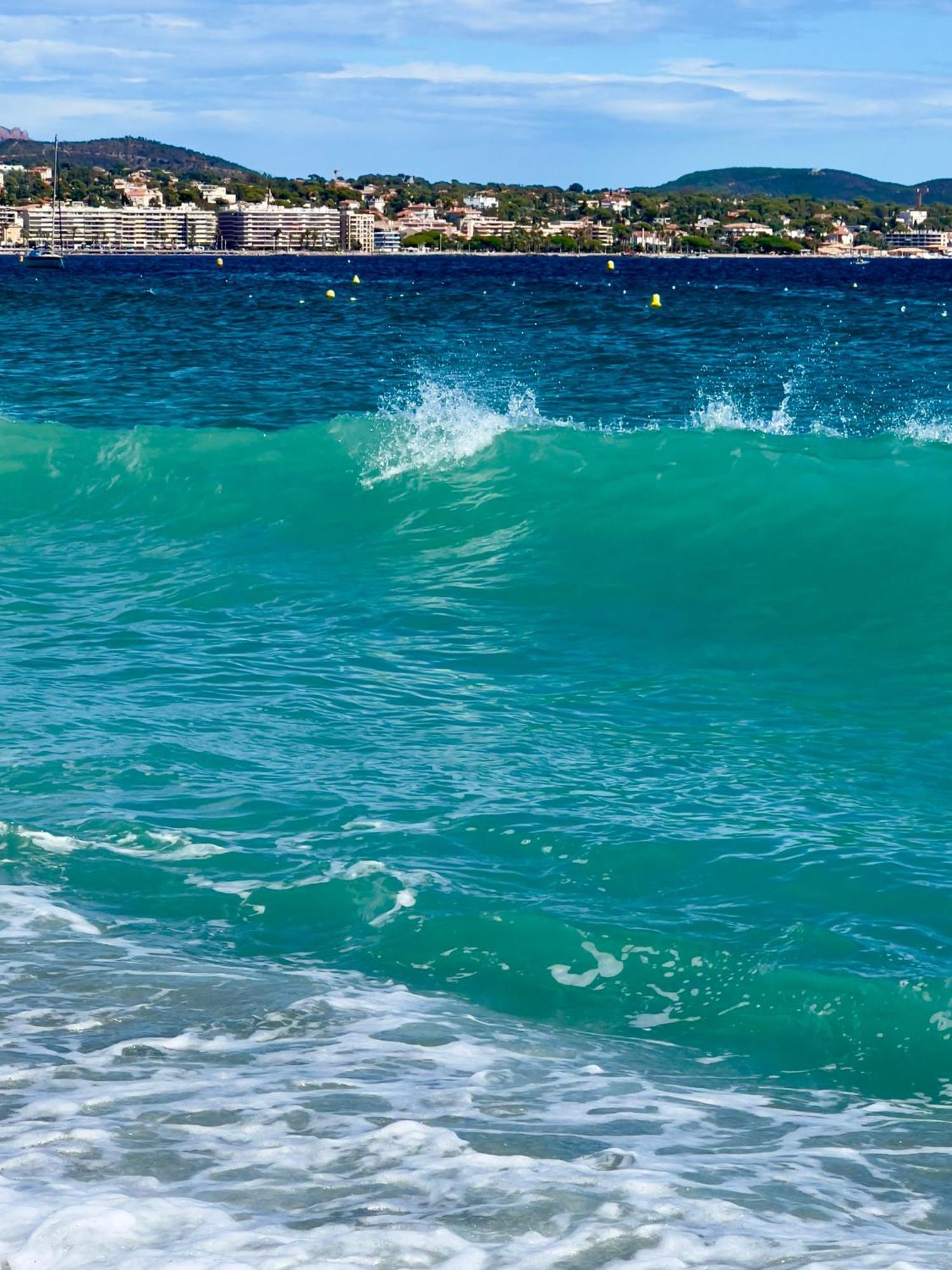 Les Cactus Frejus Plage Εξωτερικό φωτογραφία